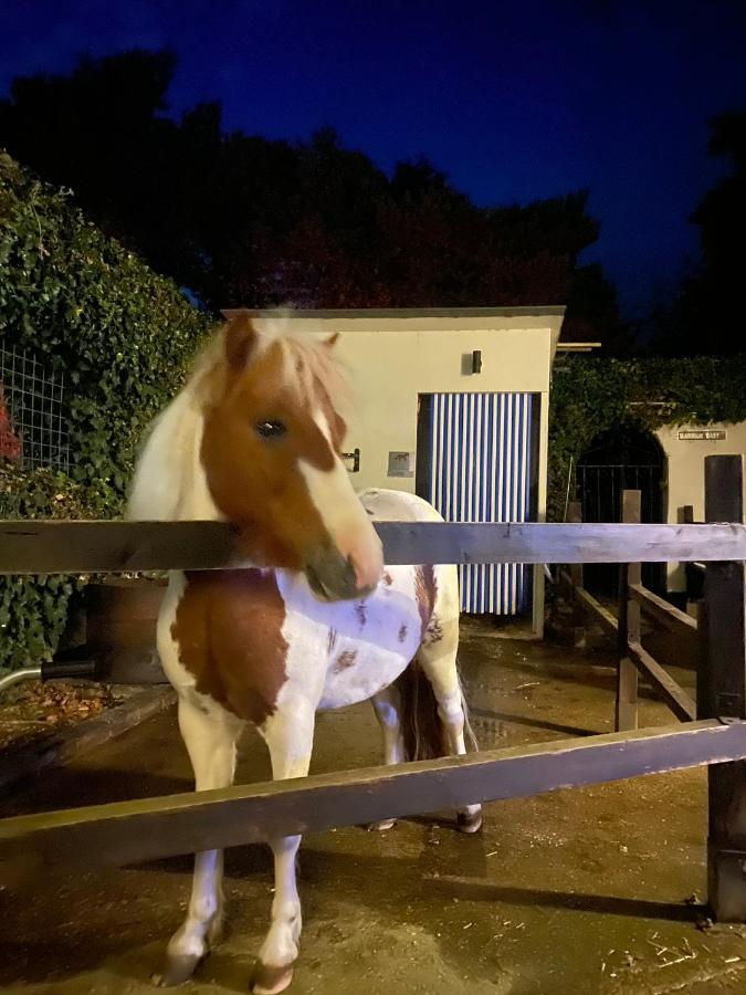 The Stable Annexe & Spa Dogdyke Dış mekan fotoğraf