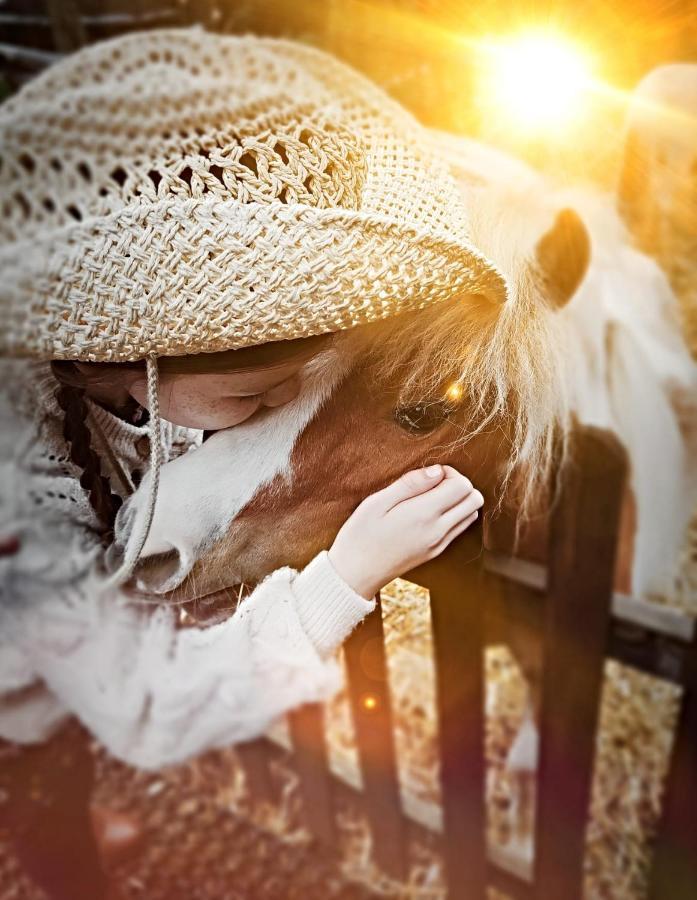 The Stable Annexe & Spa Dogdyke Dış mekan fotoğraf