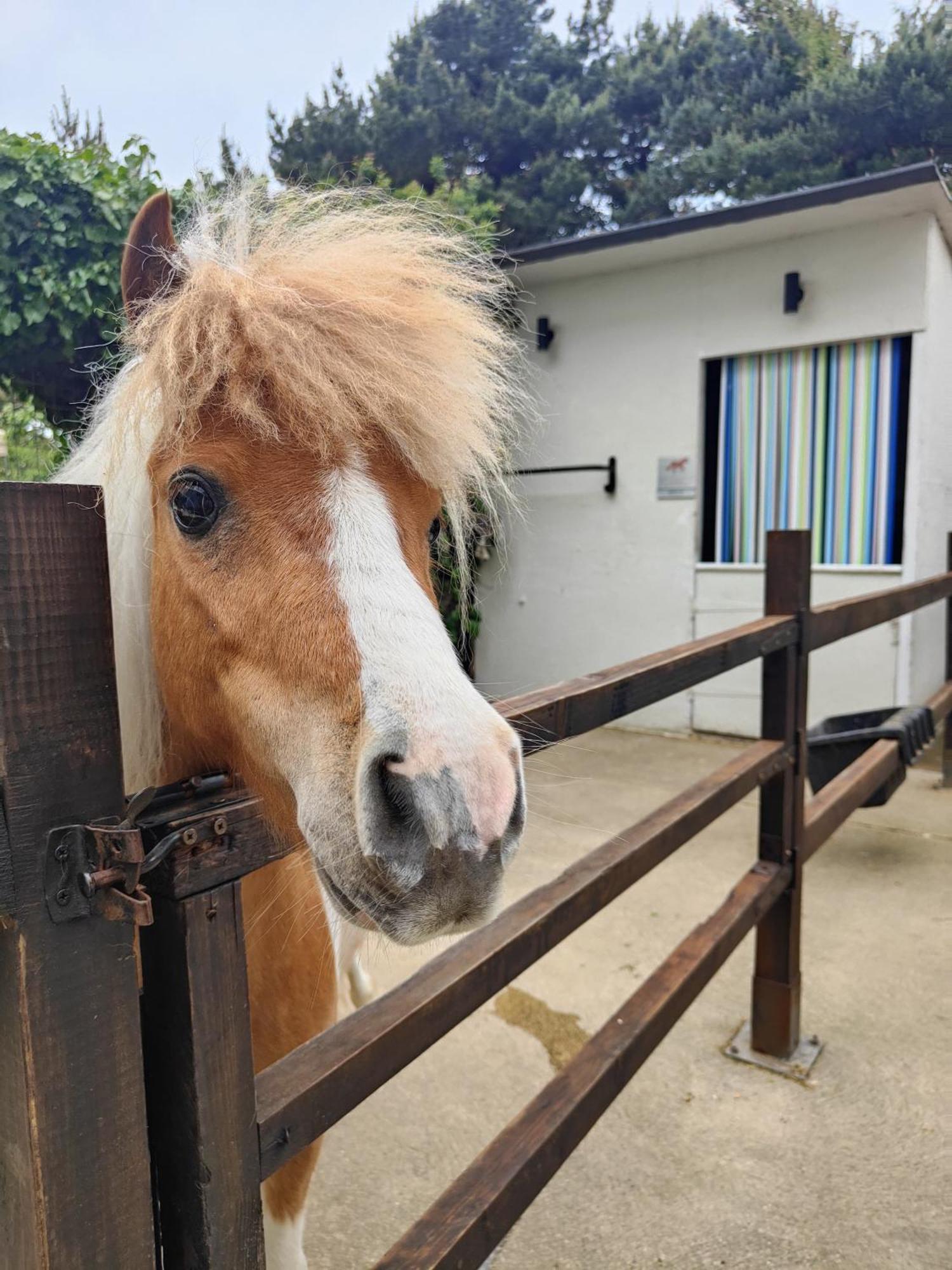 The Stable Annexe & Spa Dogdyke Dış mekan fotoğraf